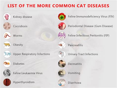 Common Cat Diseases .